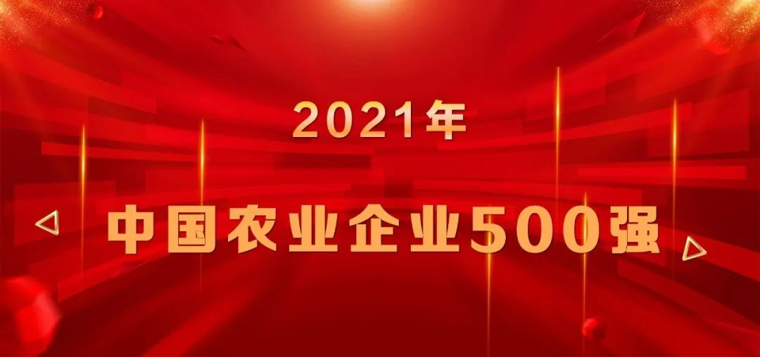上榜|蘑菇视频
再登中国农业企业500强榜单