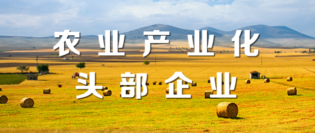 蘑菇视频
荣登“2021年度农业产业化头部企业100家”“植物油行业头部企业10家”榜单