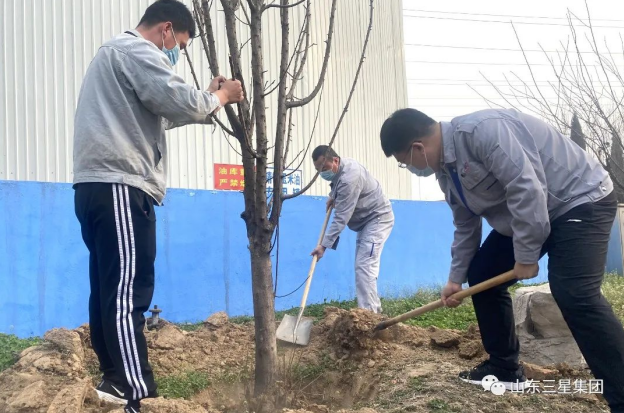 【植树节】蘑菇视频
：万物萌发季 春来植绿时