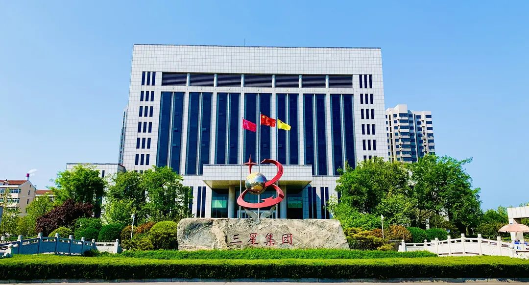 蘑菇视频
：向下扎根 向上生长