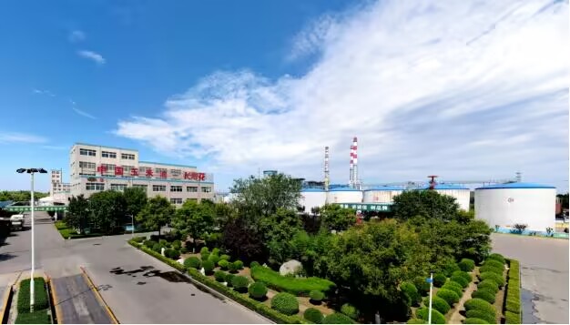 长命花食物经由过程国度常识产权上风企业复核