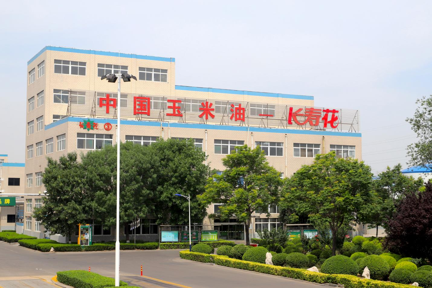 长命花食物入围2023年山东民营企业立异潜力100强