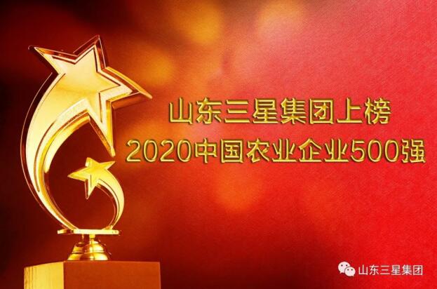 荣登双榜!蘑菇视频
“硬核”实力再彰显